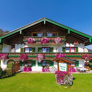 - Alpenstern Guest house